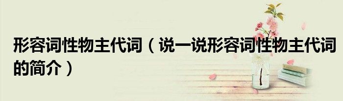 形容詞性物主代詞（說一說形容詞性物主代詞的簡介）