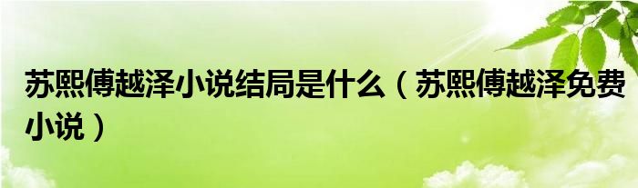 蘇熙傅越澤小說結(jié)局是什么（蘇熙傅越澤免費(fèi)小說）