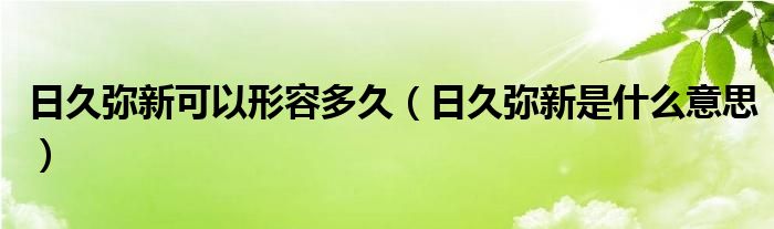 日久彌新可以形容多久（日久彌新是什么意思）