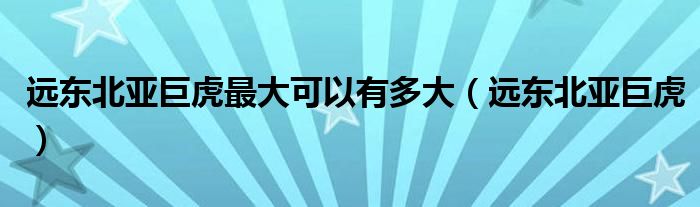遠東北亞巨虎最大可以有多大（遠東北亞巨虎）