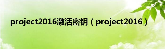 project2016激活密鑰（project2016）