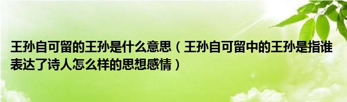 王孫自可留的王孫是什么意思（王孫自可留中的王孫是指誰(shuí) 表達(dá)了詩(shī)人怎么樣的思想感情）