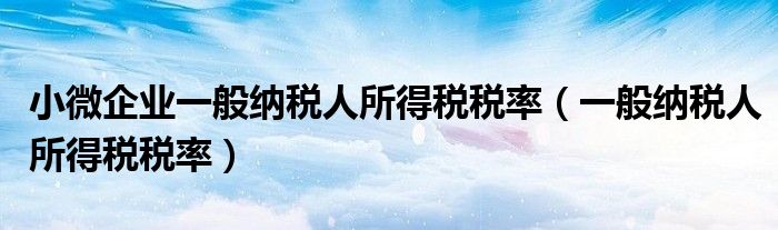 小微企業(yè)一般納稅人所得稅稅率（一般納稅人所得稅稅率）