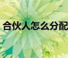 合伙人怎么分配利潤（合伙人利潤分配方案）