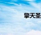 擎天圣vs擎天柱（擎天圣）
