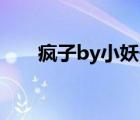 瘋子by小妖子20章（瘋子by小妖子）