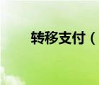轉(zhuǎn)移支付（說一說轉(zhuǎn)移支付的簡(jiǎn)介）