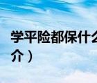學(xué)平險(xiǎn)都保什么（說(shuō)一說(shuō)學(xué)平險(xiǎn)都保什么的簡(jiǎn)介）