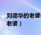 劉德華的老婆朱麗倩的照片 簡歷（劉德華的老婆）