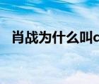肖戰(zhàn)為什么叫daytoy（daytoy什么意思）