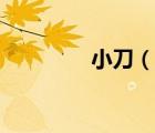 小刀（說一說小刀的簡介）