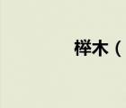 櫸木（說一說櫸木的簡介）