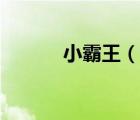 小霸王（說(shuō)一說(shuō)小霸王的簡(jiǎn)介）