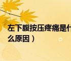 左下腹按壓疼痛是什么原因男性（男性突然左下腹劇痛是什么原因）