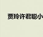 賈玲許君聰小品全集（許君聰電影全集）