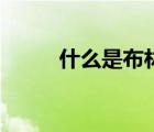 什么是布林結(jié)（布林結(jié)的優(yōu)點是）