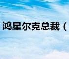 鴻星爾克總裁（說一說鴻星爾克總裁的簡介）