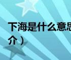 下海是什么意思（說一說下海是什么意思的簡介）