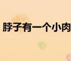 脖子有一個(gè)小肉粒（脖子上的小肉粒是什么）