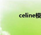 celine模特介紹（celine模特）
