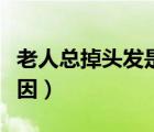 老人總掉頭發(fā)是什么原因（總掉頭發(fā)是什么原因）