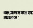 哺乳期風(fēng)寒感冒可以吃小柴胡顆粒嗎（風(fēng)寒感冒可以吃小柴胡顆粒嗎）