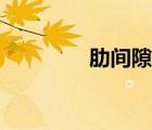 肋間隙穴位在哪（肋間隙）