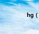 hg（說(shuō)一說(shuō)hg的簡(jiǎn)介）