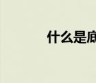 什么是底層邏輯（什么是dic）