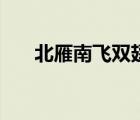 北雁南飛雙翅左右分上下（北雁南飛）