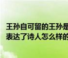 王孫自可留的王孫是什么意思（王孫自可留中的王孫是指誰 表達了詩人怎么樣的思想感情）