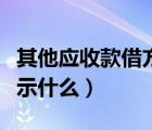 其他應(yīng)收款借方負(fù)數(shù)（其他應(yīng)收款借方余額表示什么）