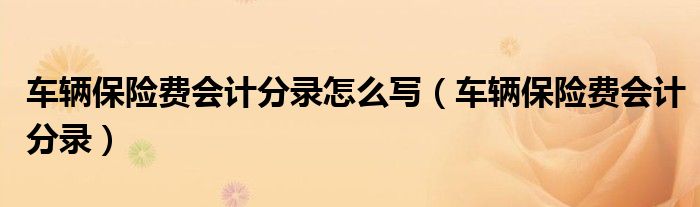 車輛保險(xiǎn)費(fèi)會(huì)計(jì)分錄怎么寫（車輛保險(xiǎn)費(fèi)會(huì)計(jì)分錄）