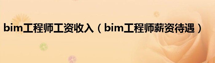 bim工程師工資收入（bim工程師薪資待遇）