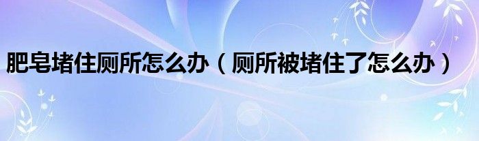 肥皂堵住廁所怎么辦（廁所被堵住了怎么辦）