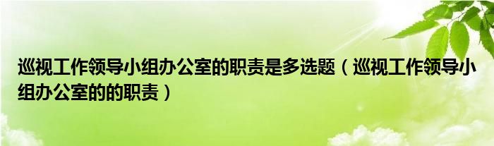 巡視工作領(lǐng)導(dǎo)小組辦公室的職責(zé)是多選題（巡視工作領(lǐng)導(dǎo)小組辦公室的的職責(zé)）