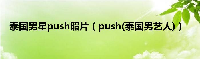 泰國男星push照片（push(泰國男藝人)）