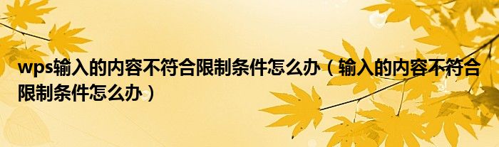 wps輸入的內(nèi)容不符合限制條件怎么辦（輸入的內(nèi)容不符合限制條件怎么辦）