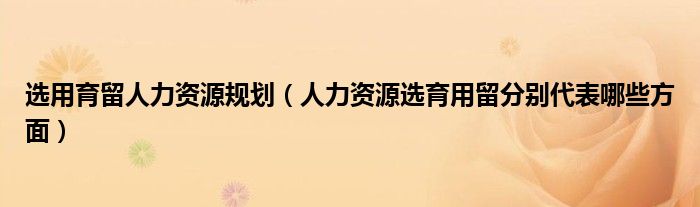 選用育留人力資源規(guī)劃（人力資源選育用留分別代表哪些方面）