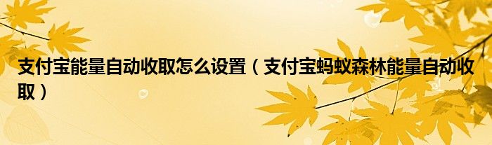 支付寶能量自動收取怎么設(shè)置（支付寶螞蟻森林能量自動收?。? />
                                         </a>
                                    </div>
                                 <div   id=