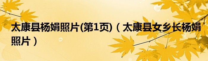 太康縣楊娟照片(第1頁)（太康縣女鄉(xiāng)長楊娟照片）