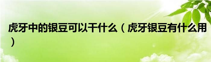 虎牙中的銀豆可以干什么（虎牙銀豆有什么用）