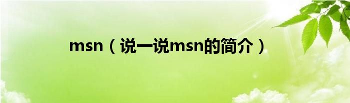 msn（說一說msn的簡(jiǎn)介）