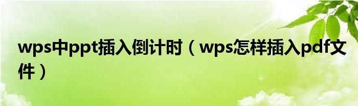 wps中ppt插入倒計時（wps怎樣插入pdf文件）