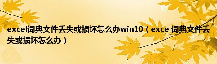 excel詞典文件丟失或損壞怎么辦win10（excel詞典文件丟失或損壞怎么辦）