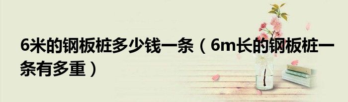 6米的鋼板樁多少錢一條（6m長的鋼板樁一條有多重）