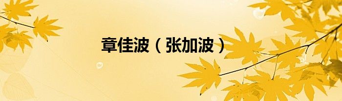 章佳波（張加波）