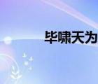 畢嘯天為什么叫畢導(dǎo)（畢嘯天）