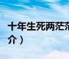 十年生死兩茫茫（說一說十年生死兩茫茫的簡介）
