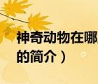 神奇動物在哪里3（說一說神奇動物在哪里3的簡介）